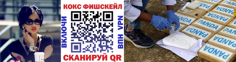 Cocaine 98%  Купить где  Елизово 