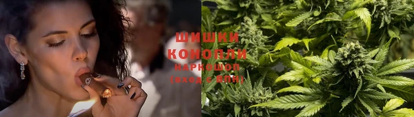 спиды Дмитриев