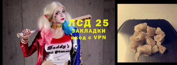 ГАЛЛЮЦИНОГЕННЫЕ ГРИБЫ Ельня