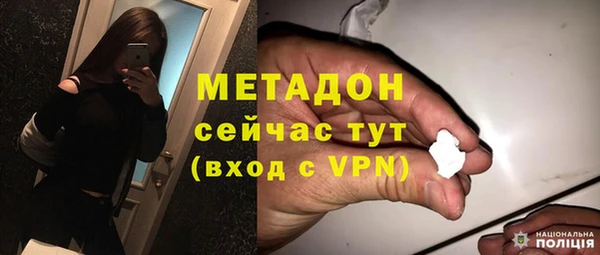 ГАЛЛЮЦИНОГЕННЫЕ ГРИБЫ Ельня