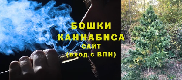 ГАЛЛЮЦИНОГЕННЫЕ ГРИБЫ Ельня