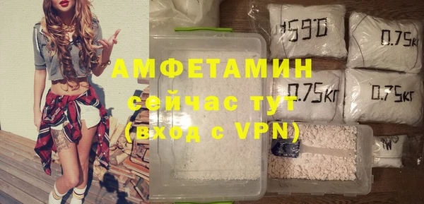 ГАЛЛЮЦИНОГЕННЫЕ ГРИБЫ Ельня