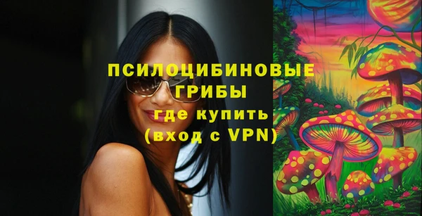 ГАЛЛЮЦИНОГЕННЫЕ ГРИБЫ Ельня