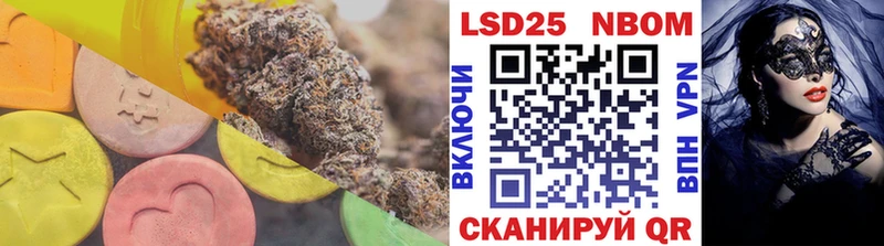 Купить закладки  Елизово  Лсд 25 экстази ecstasy 
