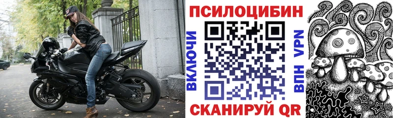 Псилоцибиновые грибы MAGIC MUSHROOMS  Купить  Елизово 