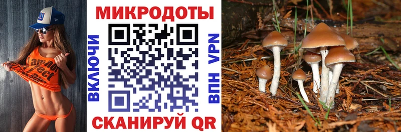 Галлюциногенные грибы ЛСД Елизово